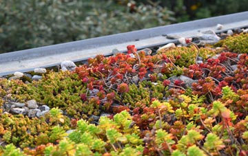 the cost of Bigby green roof installation