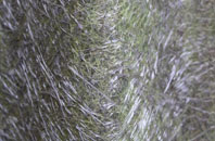 Bigby fibreglass roof work